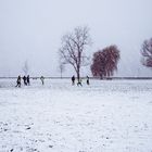 The Winter Game