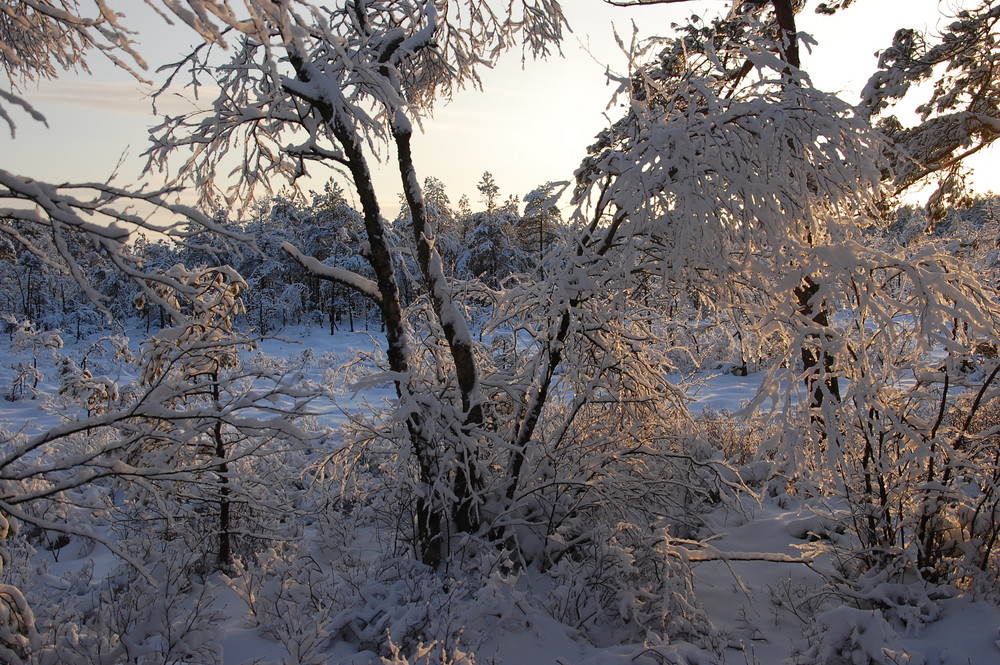 The Winter in Norway