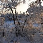 The Winter in Norway