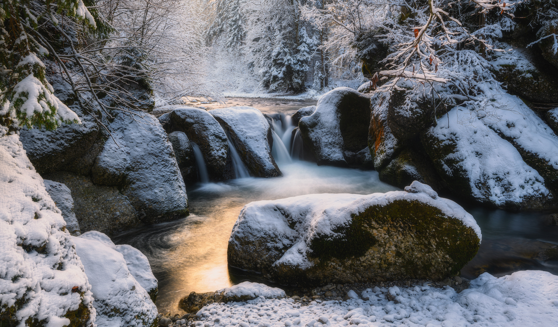 The winter oasis