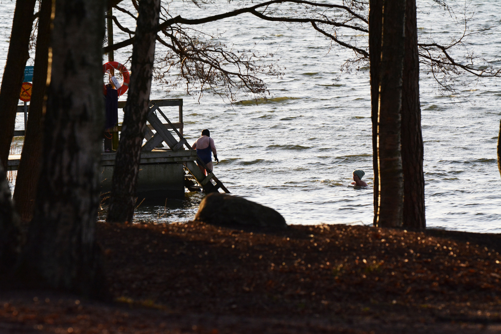 The winter swimmer