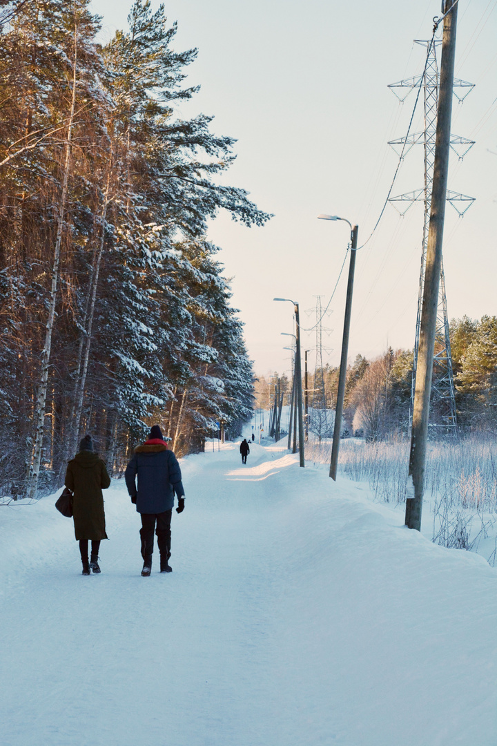 The wintry walking way