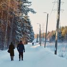 The wintry walking way