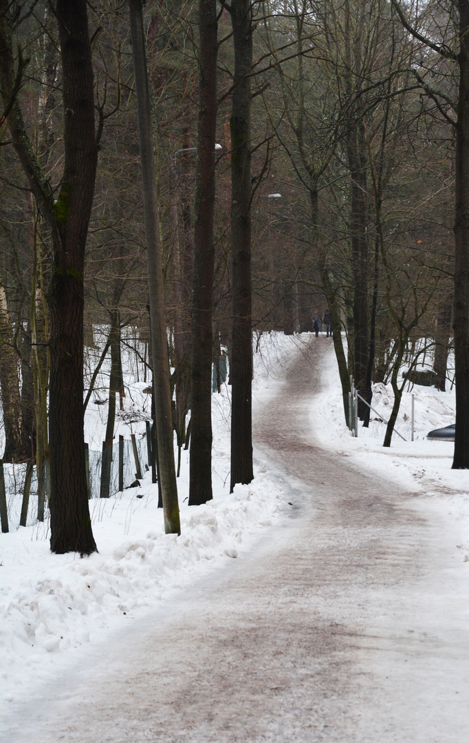 The wintry walking way on Niemenmäki