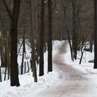 The wintry walking way on Niemenmäki