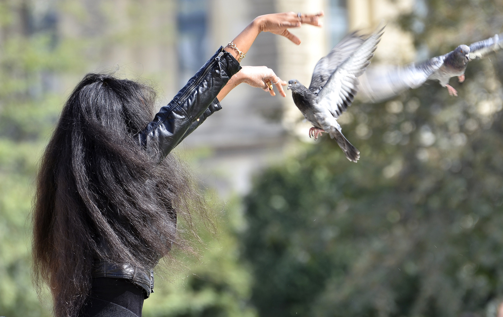 The witch & pigeon dance