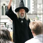 The Wizard Of New Zealand