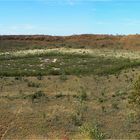 ** The Wolfe Creek Meteorite Crater / Tanami Road **