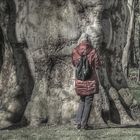 The Woman and the Tree