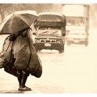 The Woman in the Rain
