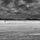 The woman with the private beach