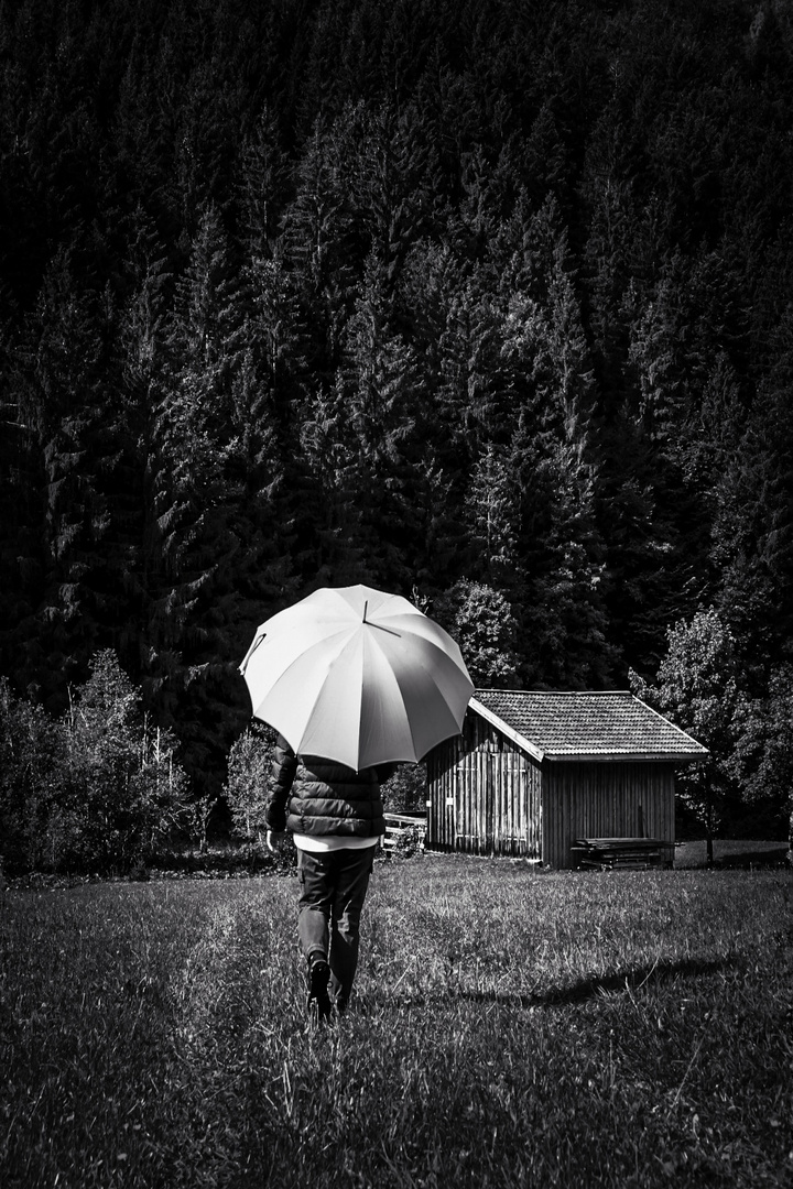 The woman with the umbrella (204);.....on the way to the bee hut...