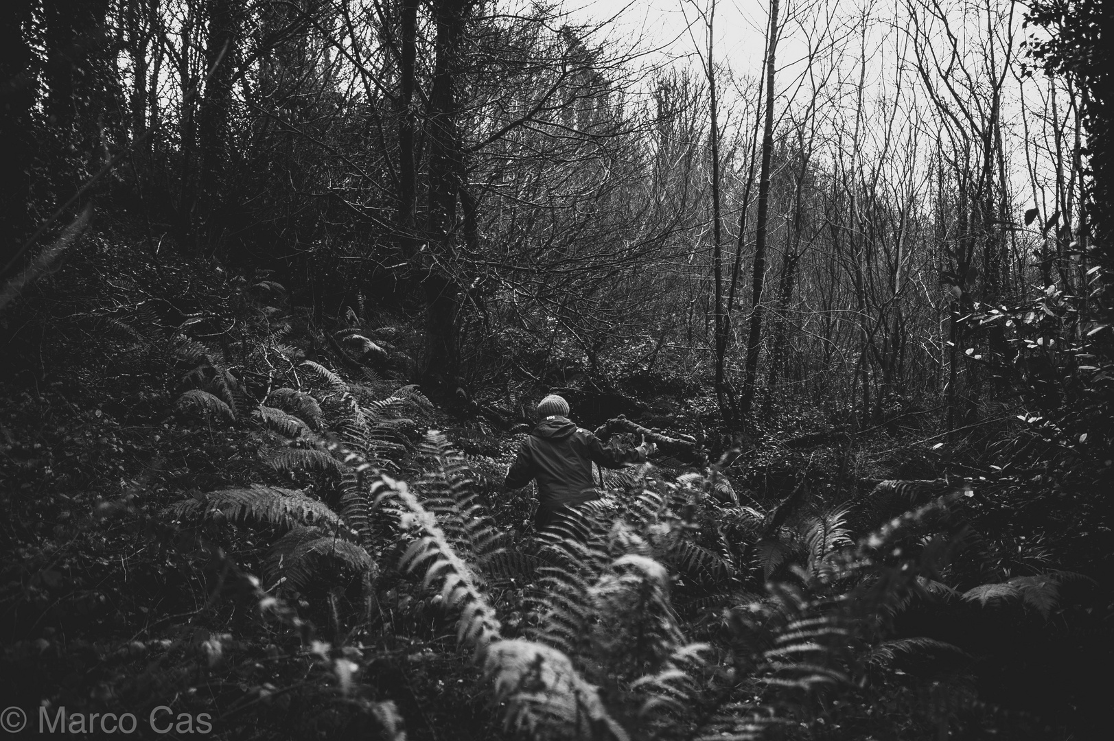 the Women and the Forest