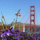 The Wonderful Golden Gate Bridge