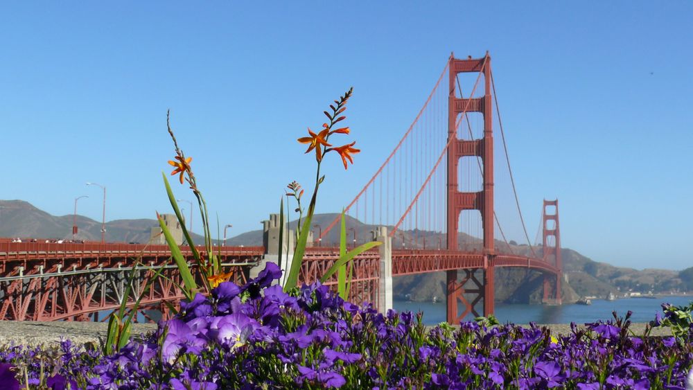 The Wonderful Golden Gate Bridge