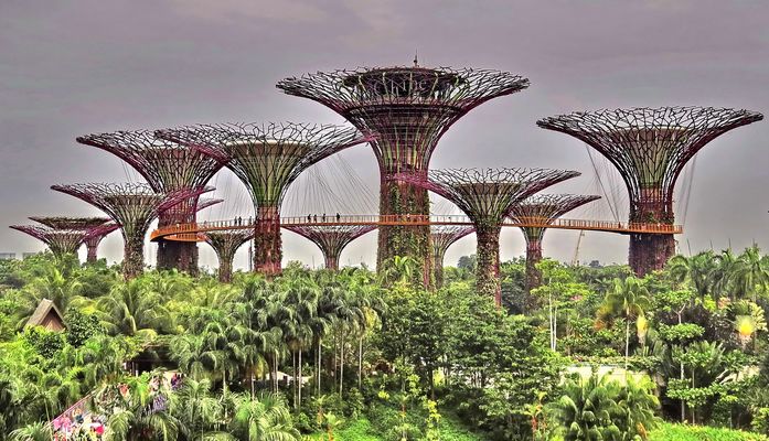 The Wondrous Gardens by the Bay