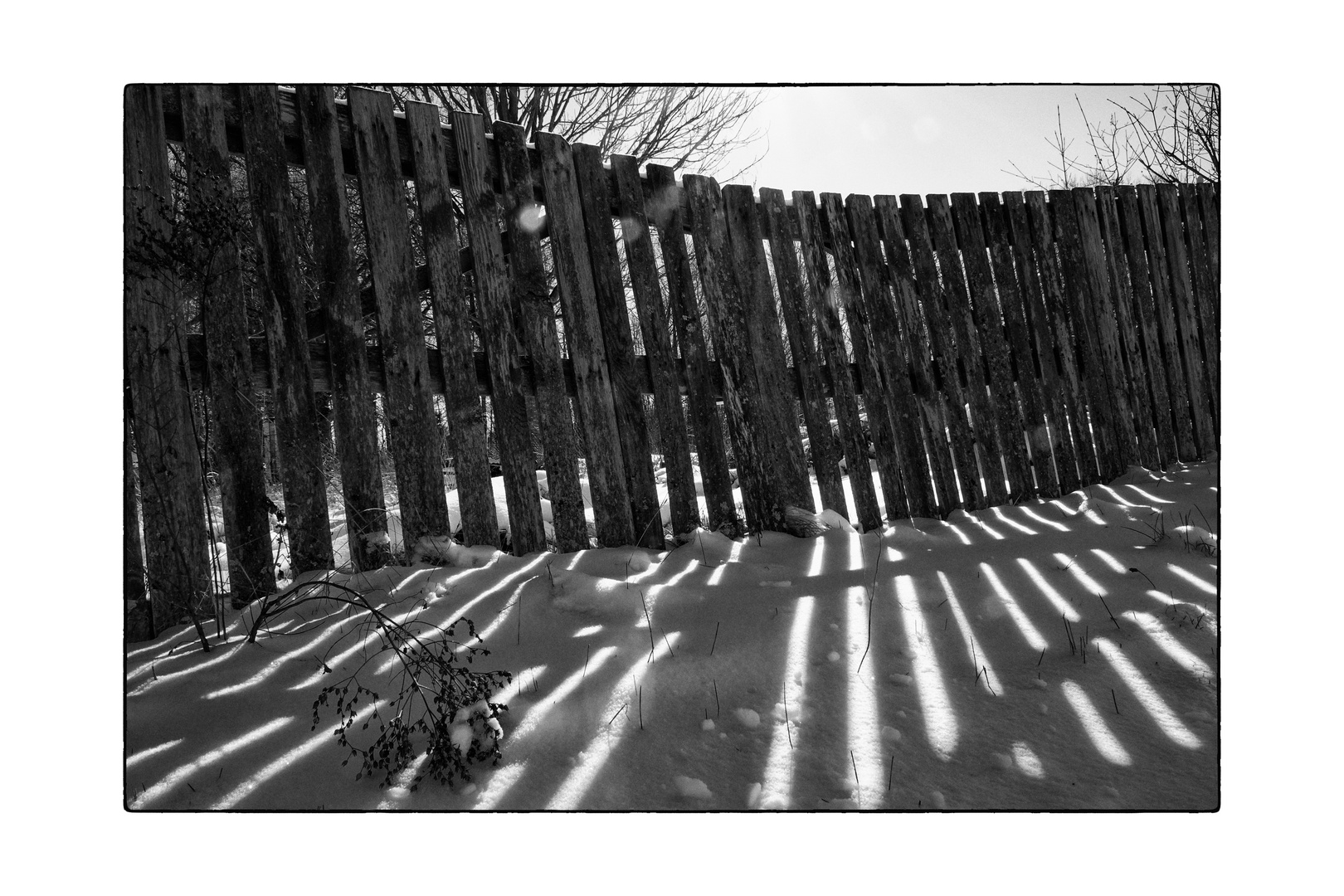 the wooden fence