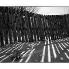 the wooden fence