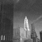 The Woolworth Building