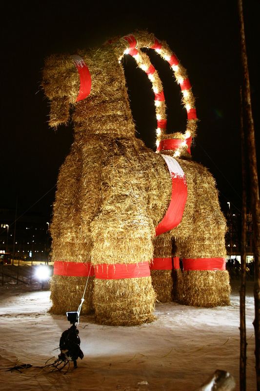 the world famous christmas goat(1985 years guiness book of world records)