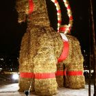 the world famous christmas goat(1985 years guiness book of world records)