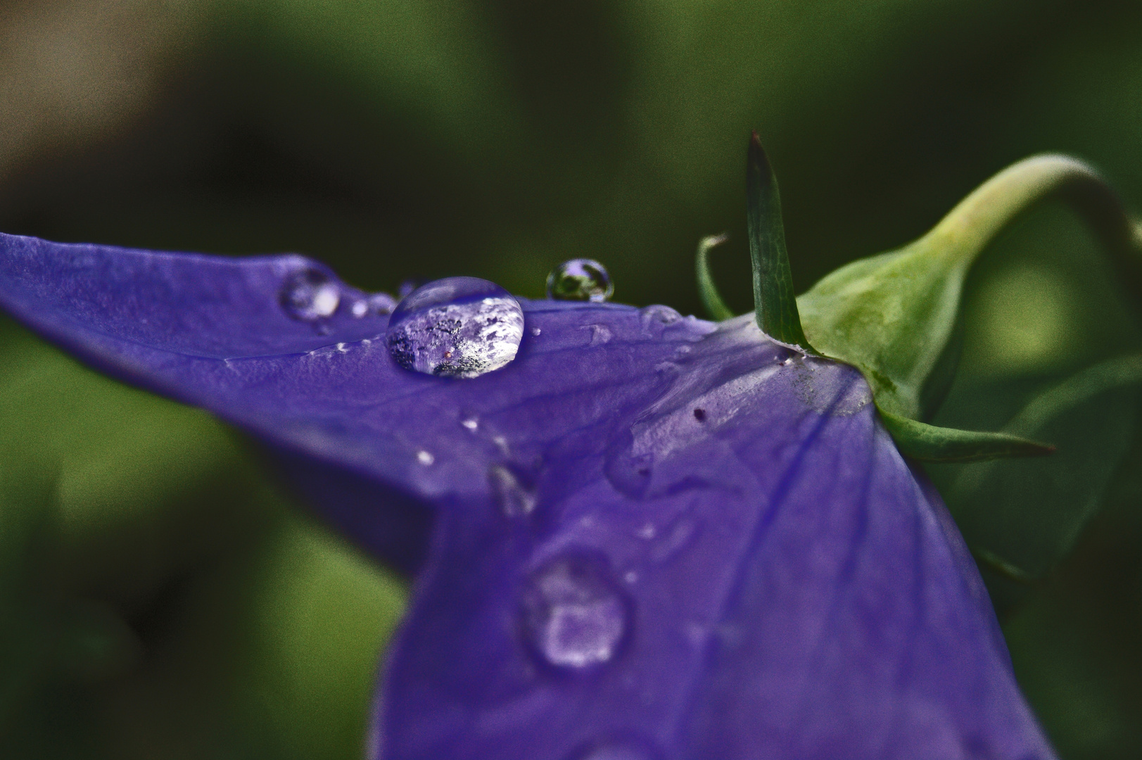 The World in a Drop