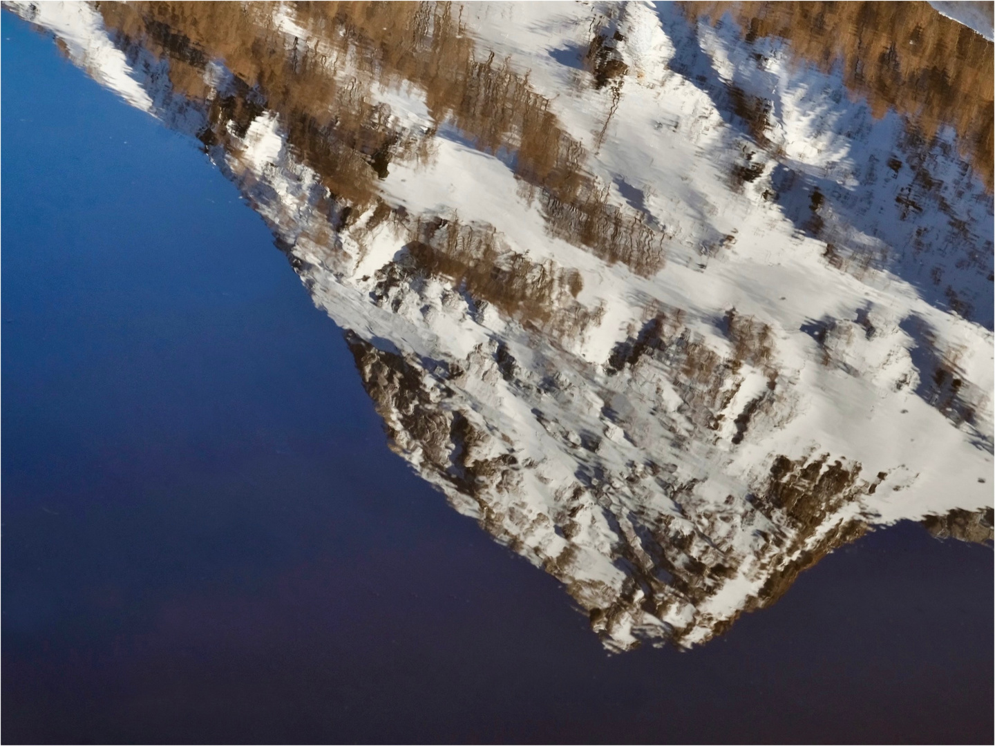 the world in a puddle.