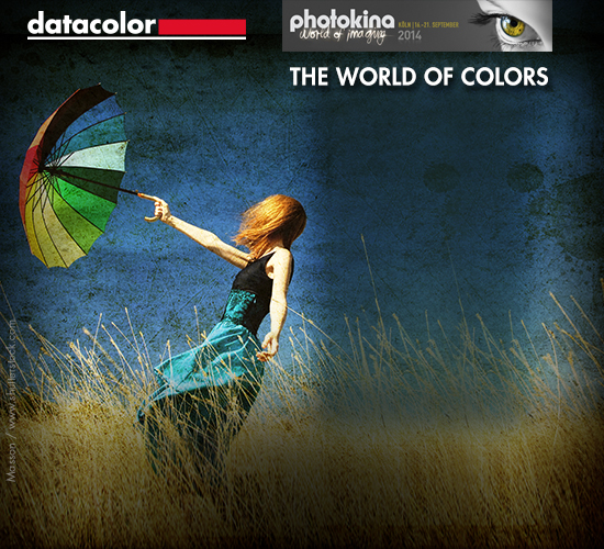 The World of Colors