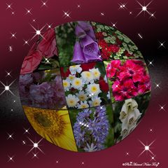 THE WORLD OF FLOWERS