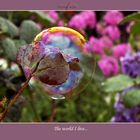 The world through the soap bubble