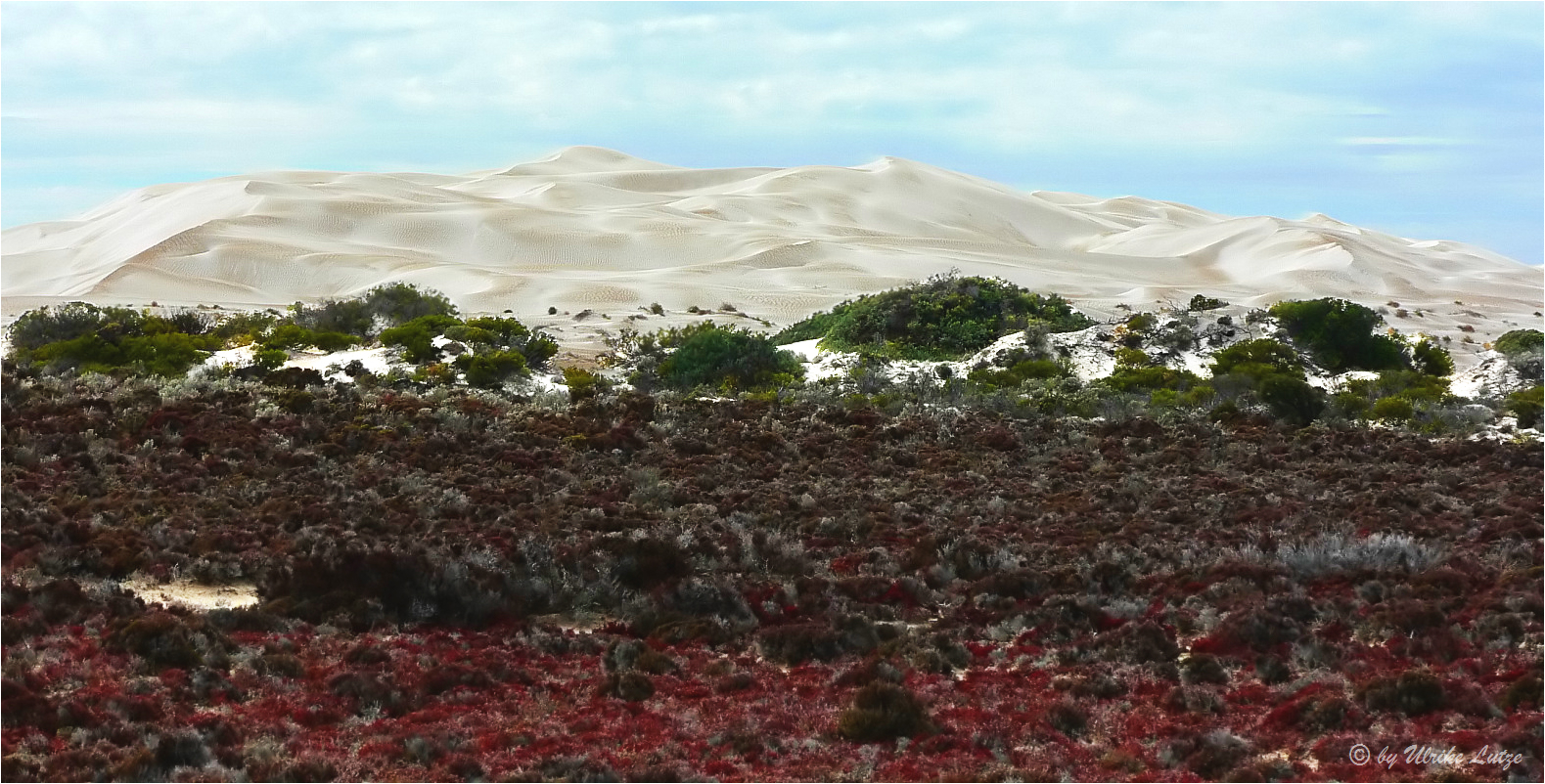 *** The Yanerbie Sand Hills ***