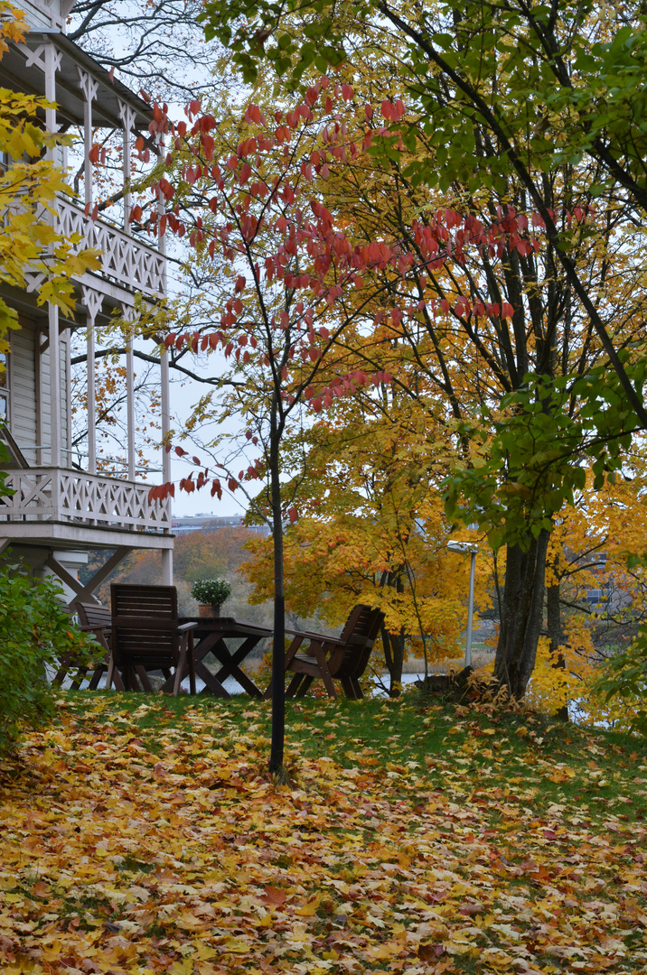 The yard at autumn