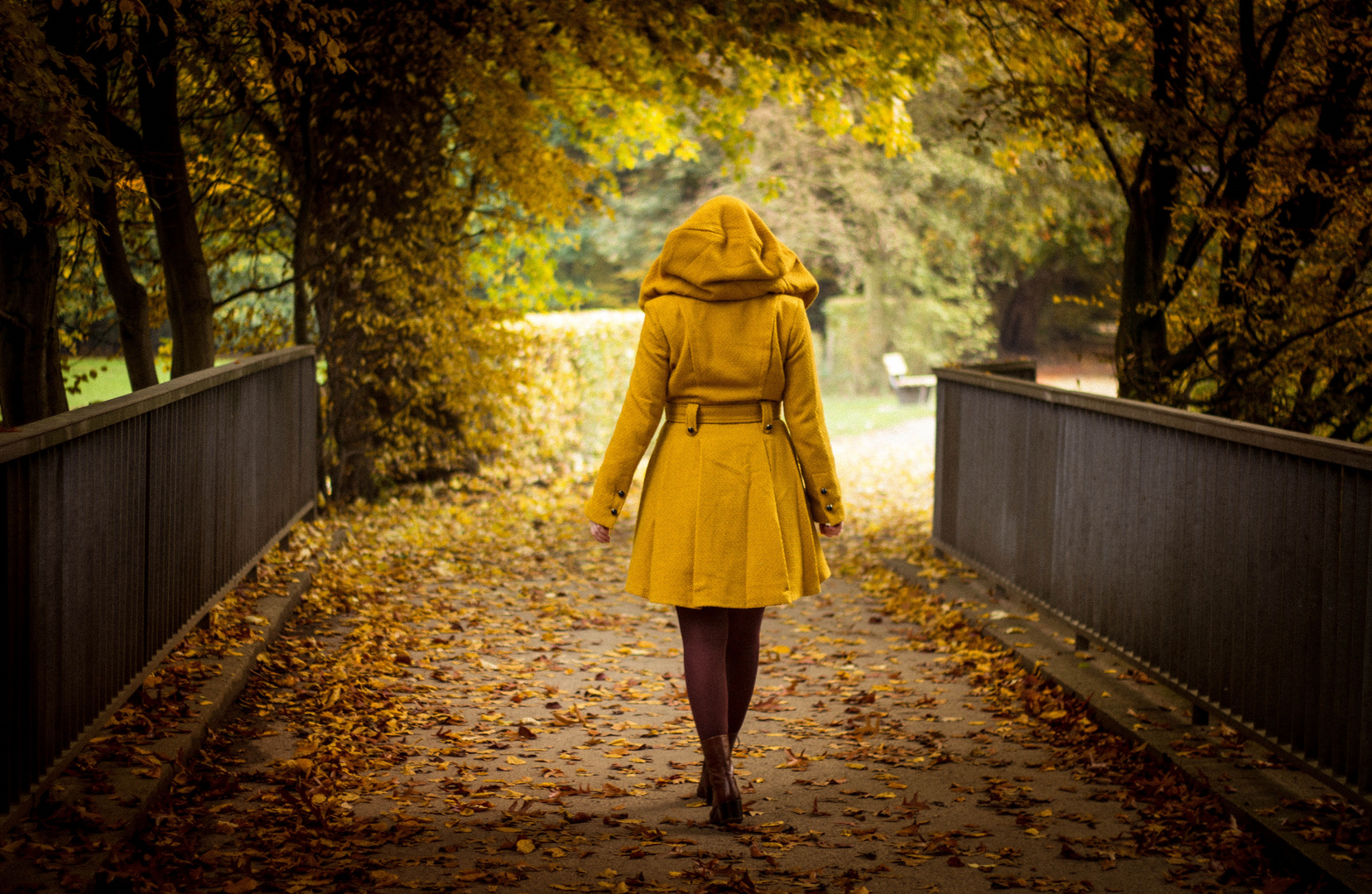 The yellow coat