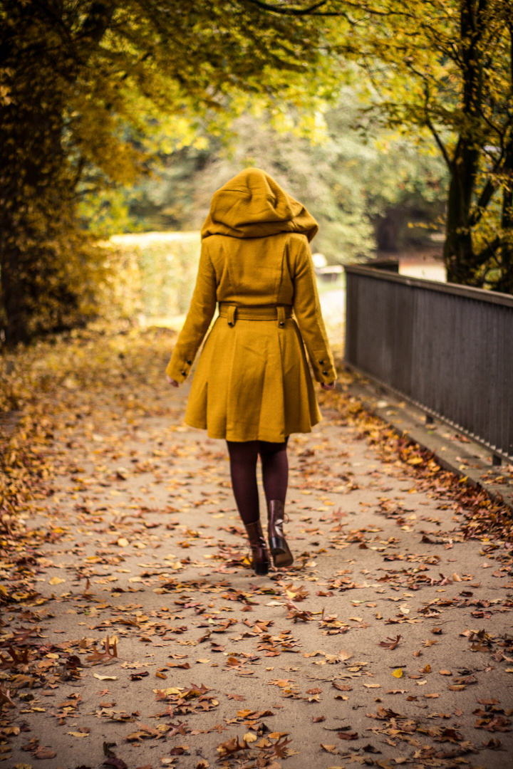 The Yellow Coat II