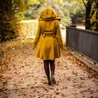 The Yellow Coat II