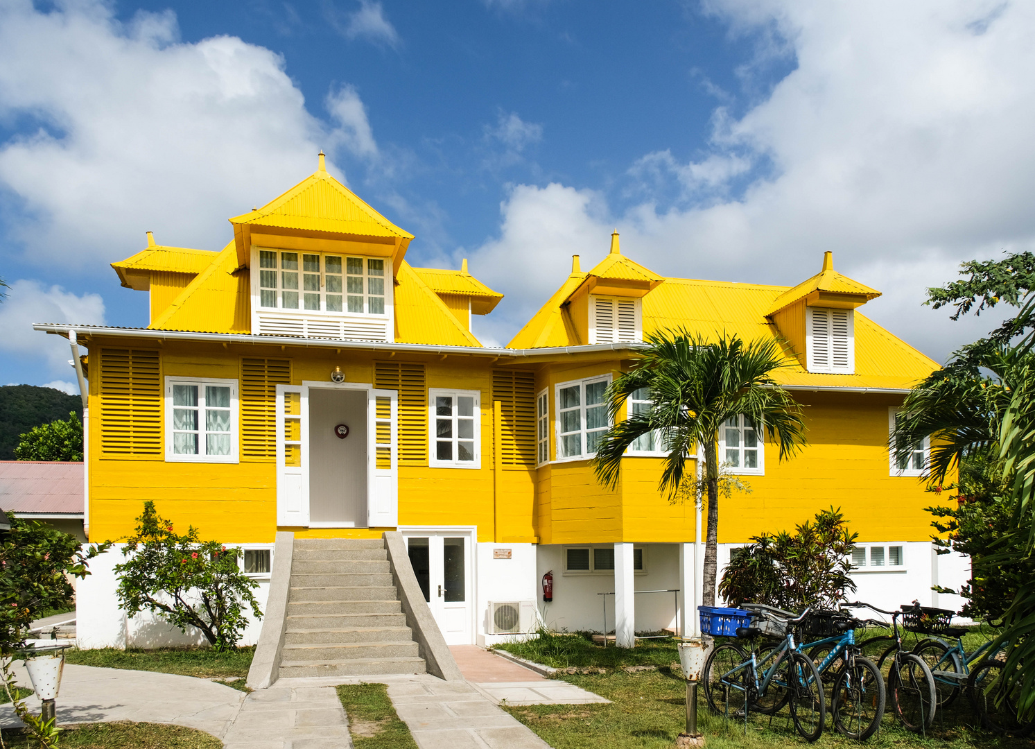 ...The Yellow House...