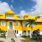 ...The Yellow House...