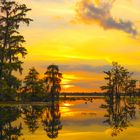 The Yellow Sunset Of Louisiana