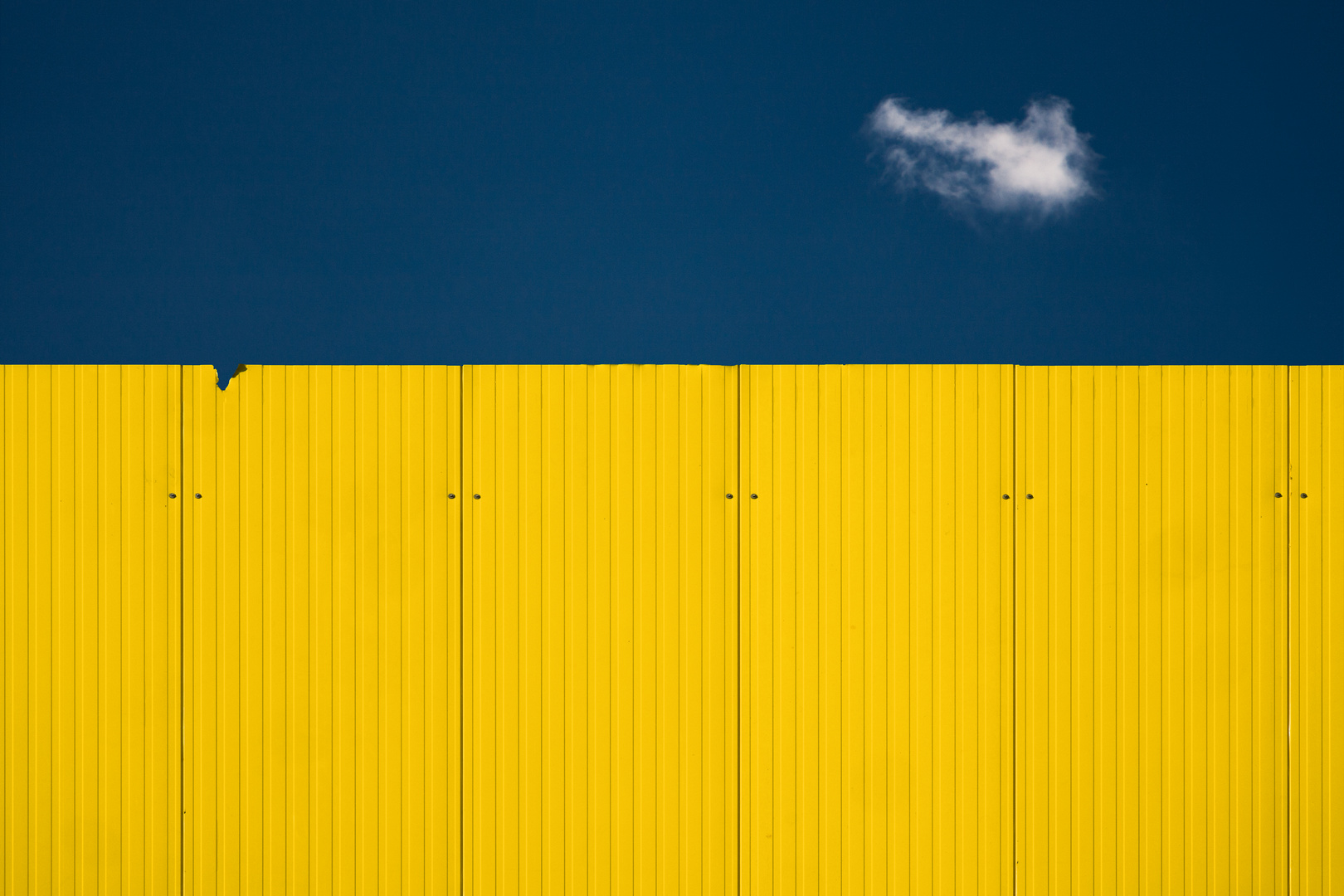 the yellow wall