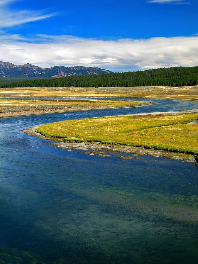 the Yellowstone River