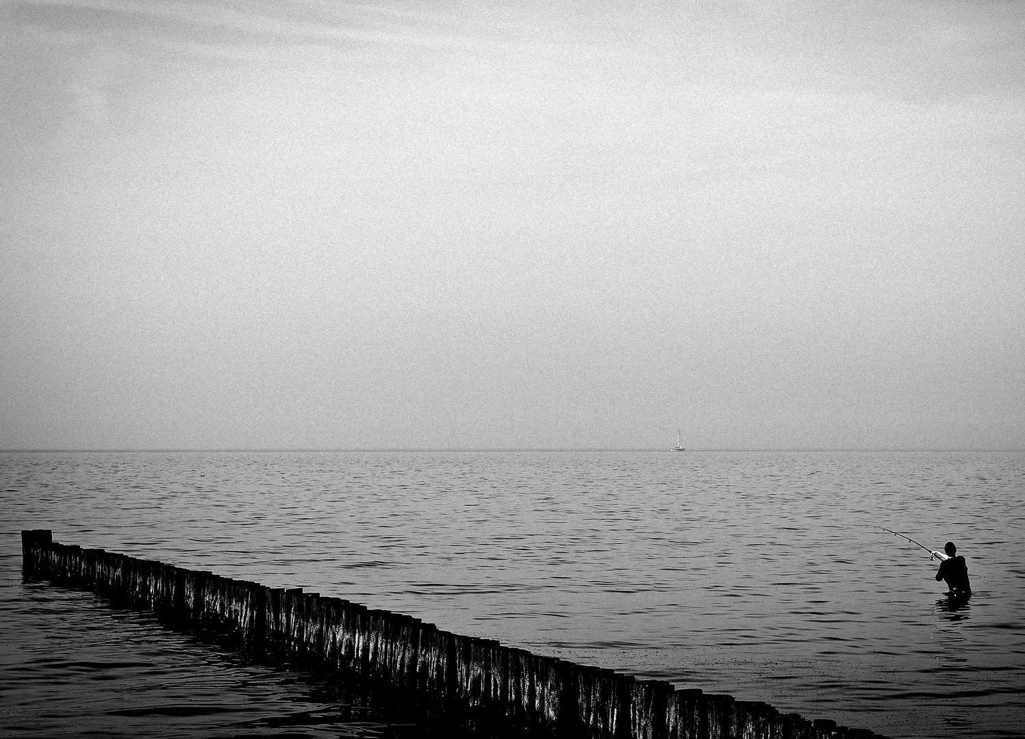 THE YOUNG MAN AND THE SEA