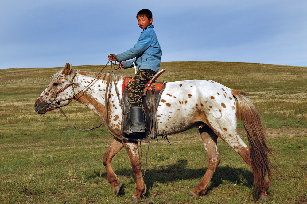 The young Mongolian boy on his horse