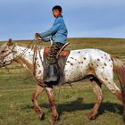 The young Mongolian boy on his horse