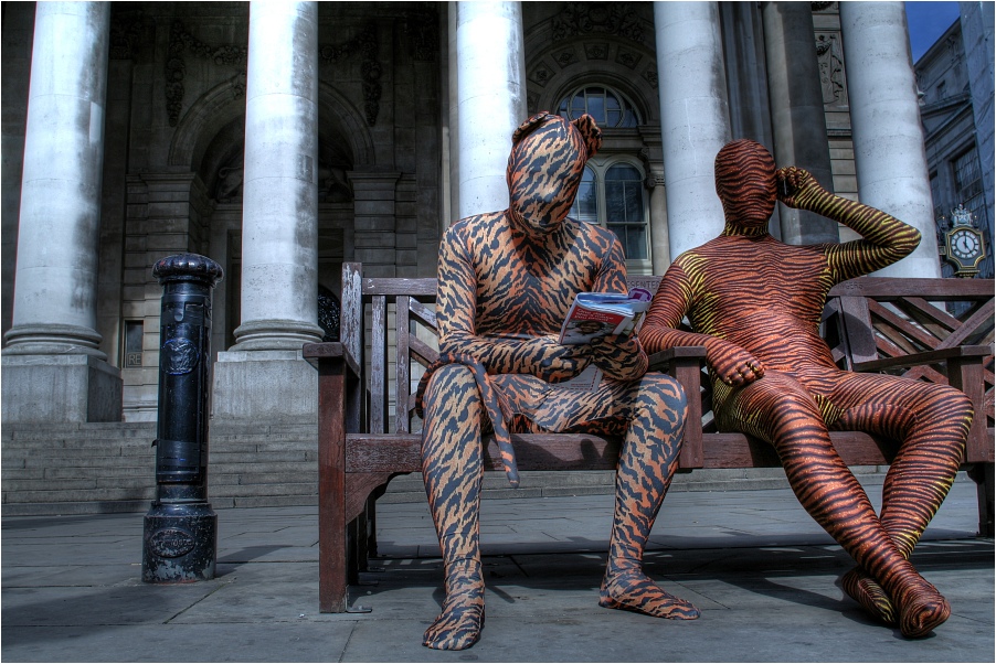 The Zentai VII