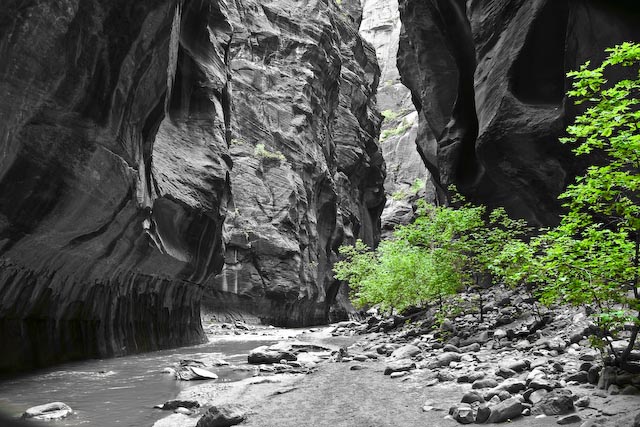 The Zion Narrows......eine Reise wert...