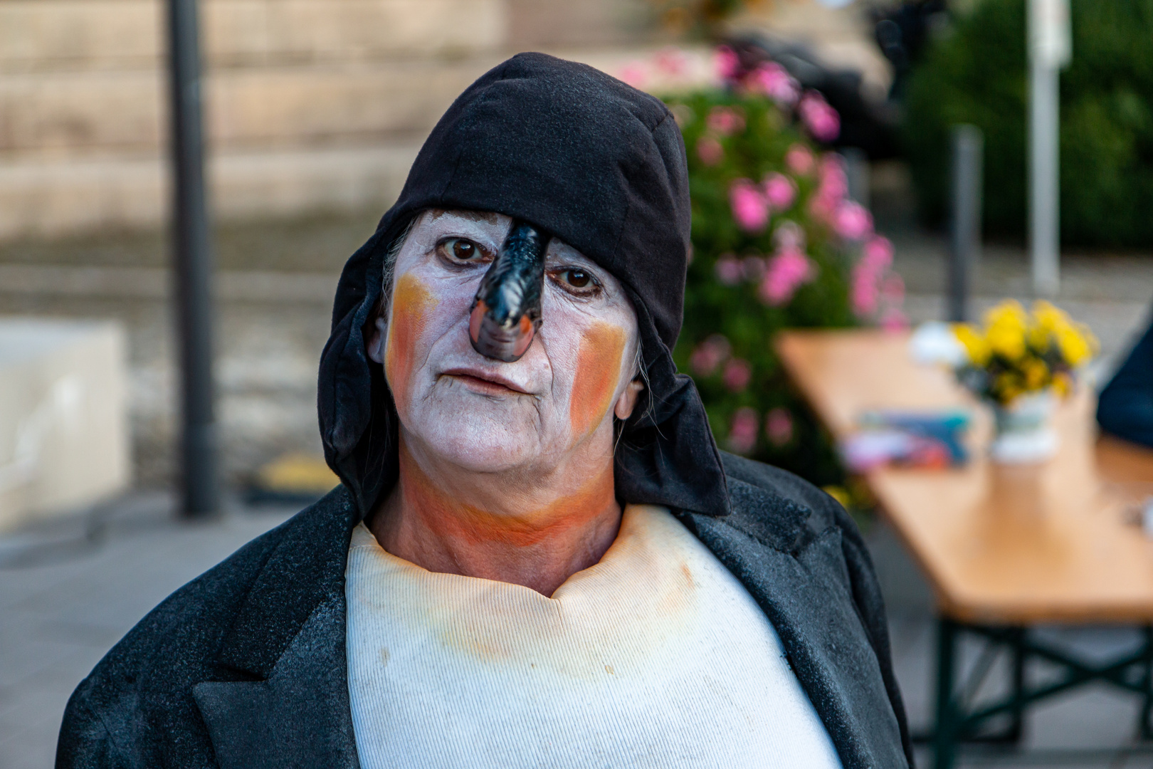 Theaterfest 2019 Wolfenbüttel - Pinguin