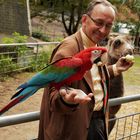 Theaterkonzert im Tiergarten