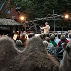 Theaterkonzert im Tiergarten II