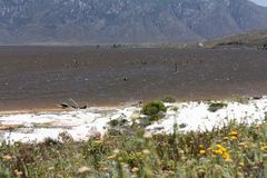 Theewaters Kloof dam, der See der toten Bäume