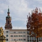 Thema: Natur in der Stadt